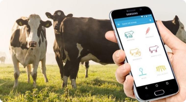 Dairy App
